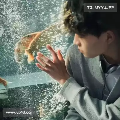 魏航钦